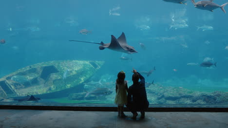 father with daughter at aquarium looking at beautiful fish swimming in tank little girl watching marine animals with curiosity having fun learning about marine life with dad in oceanarium