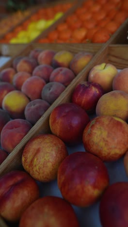 fresh peaches and nectarines at a fruit market