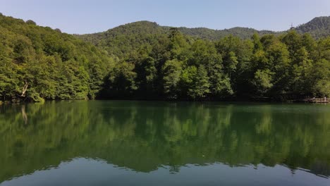 aerial drone shot lake park