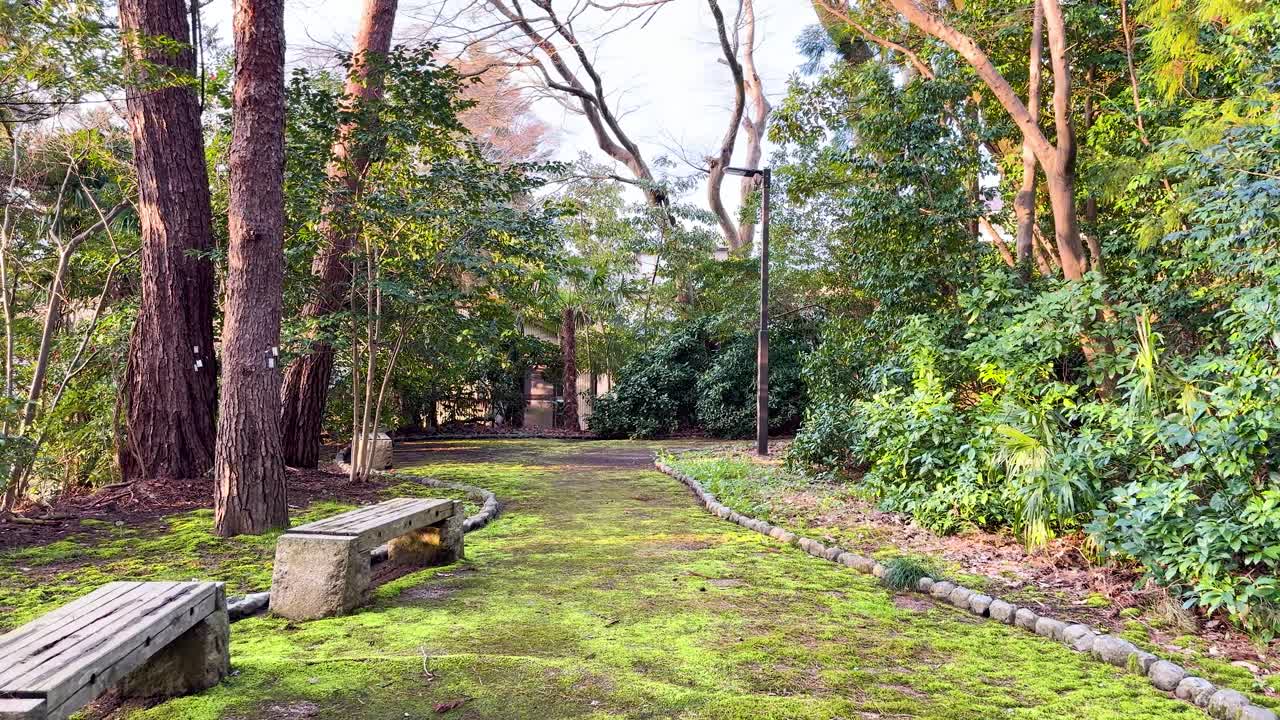 穏やかな日本庭園の中、緑豊かな苔むした小道をゆっくりとした手持ちカメラの動きが辿る。