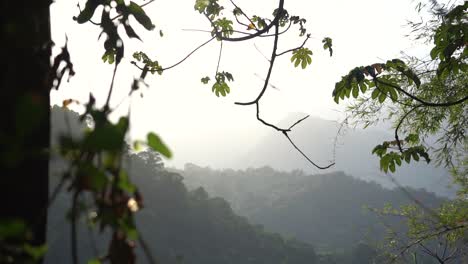 Amazon-rainforest-during-stunning-bright-sunset,-illuminating-forest-hills,-shallow-focus-from-branches-and-leafs,-distant-mountains