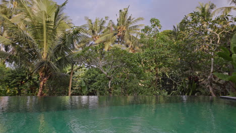 luxury swimming pool set in lush countryside of palm trees