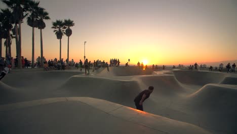 skaters at venice beach at sunset