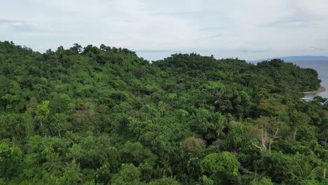 Eine-Atemberaubende-Luftaufnahme-über-Einem-Dichten-Wald-Auf-Hügeln,-Die-Die-Schönheit-Der-Natur-Und-Die-Weite-Der-Landschaft-Zeigt