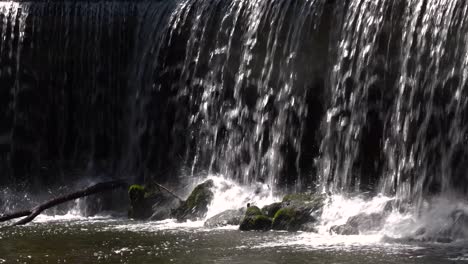 static view of man made waterfall gently falling on rocks and trees in park setting, close up view