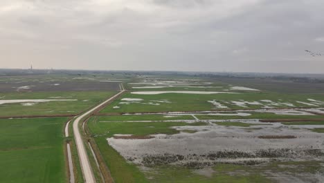 High-altitude-tracking-shot-of-a-flock-of-birds-flying-over-swampy-fields-on-a-cloudy-winter-day