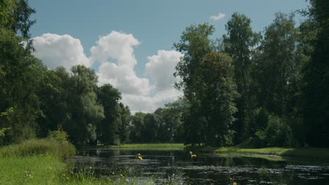 small idyllic peaceful natural woodland lake on beautiful summer day