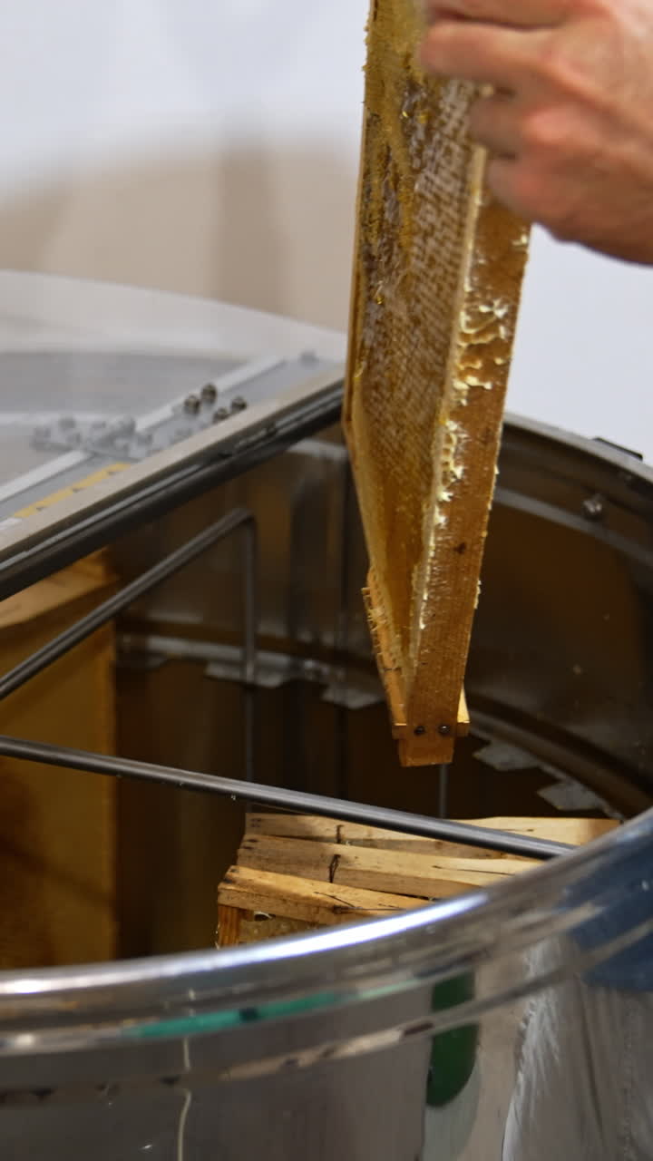 Apiarist inserts the honey wooden frame into metal barrel centrifuge. Loading the honey extractor device at apiary for harvesting honey. Vertical video