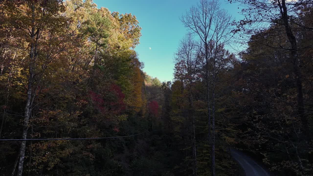 Fall colors in Marble North Carolina