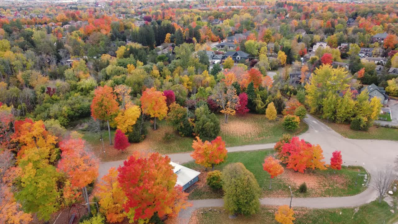 vista aérea hacia adelante en casas de campo en el bosque con maravillosos colores otoñales