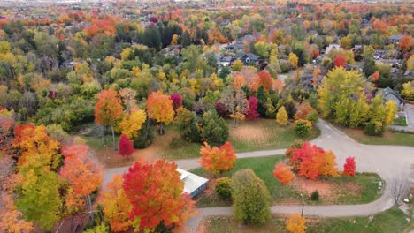 aerial forward view on countryside houses in forest with wonderful autumn colors