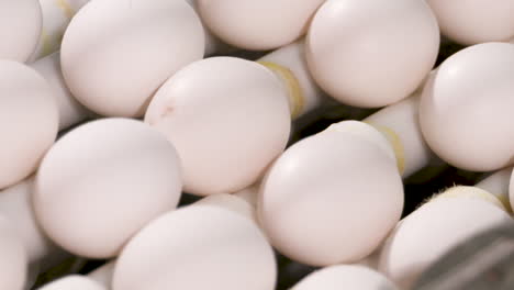 close up of fresh eggs moving along a production line