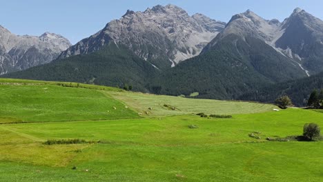 amazing green grassland with mountains in background in switzerland