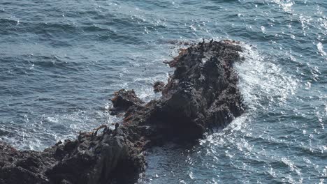 a flock of black birds is perched on the rocky outcrop as the waves crash dark rocks