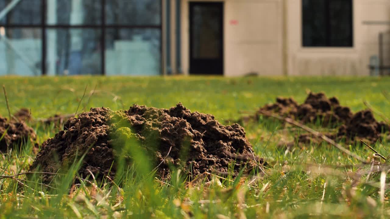 몰은 땅을 밀어내고 땅  ⁇ 어리를 만들었습니다.