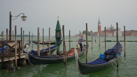 gondola traditional boats moored on the wooden pier of the grand canal in venice, italy. static shot