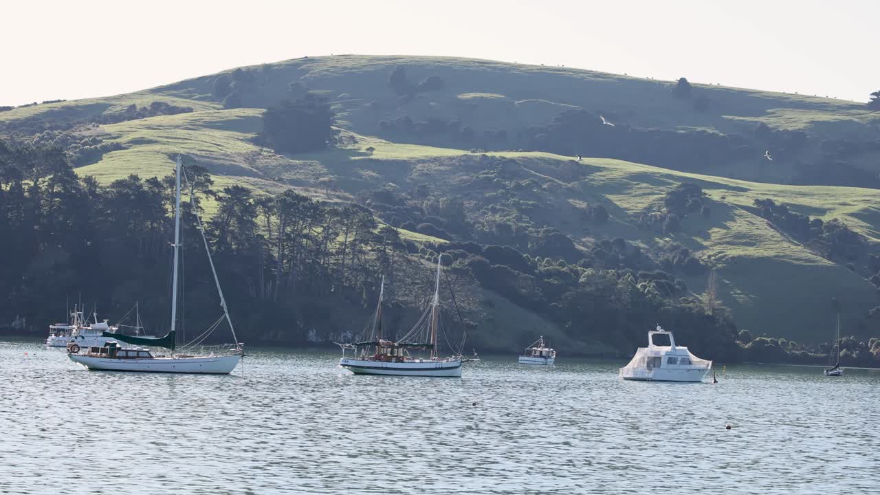 Yachts gently sail across Akaroa Harbor with lush hills in the background, captured in natural daylight