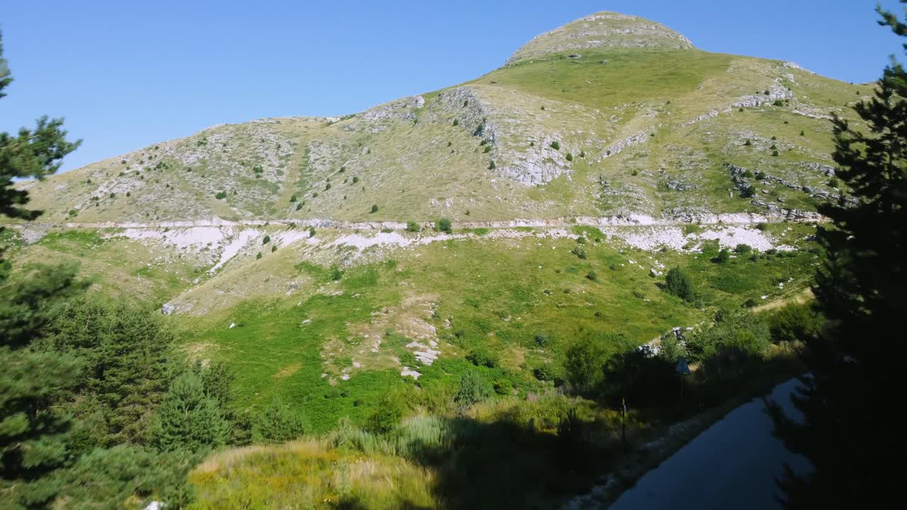 여름 에 아름다운 산 정상 을 드러내는 나무 를 통해 공중 비행