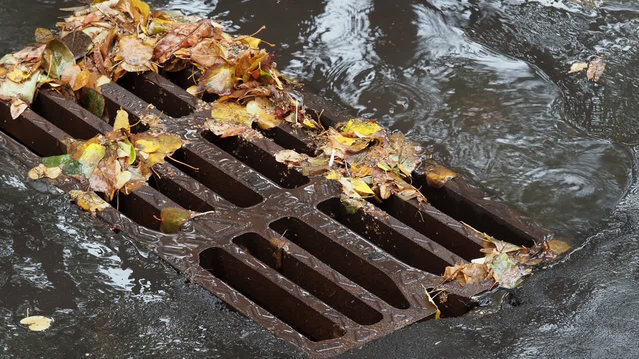 fallen leaves and puddle near urban drain grid