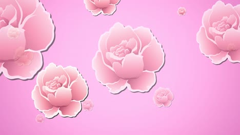 Animation-of-pink-flying-flowers-on-pink-background