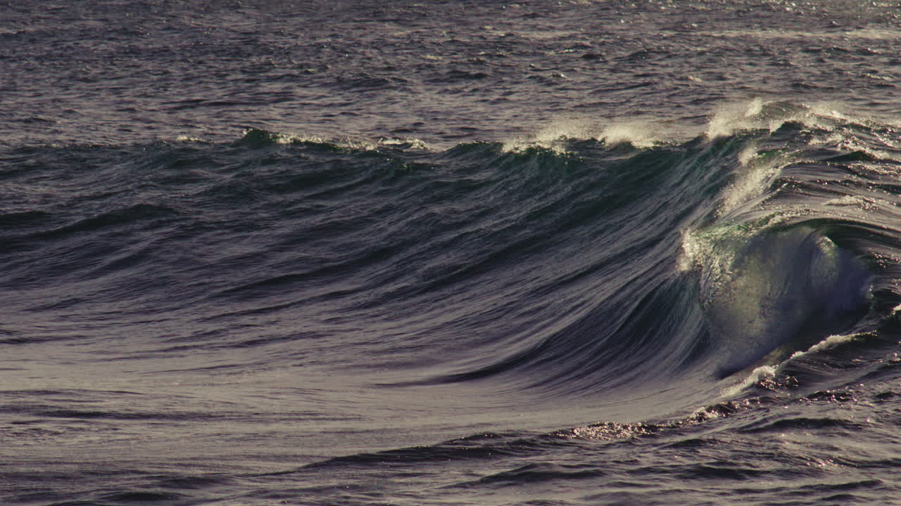 Evening sun backlights choppy wave front, light catching peaks and troughs in golden glow