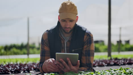 smiling farmer using tablet in greenhouse