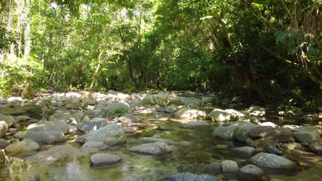 Hovering-Slowly-Above-Peaceful-Creek-in-Columbian-Forest