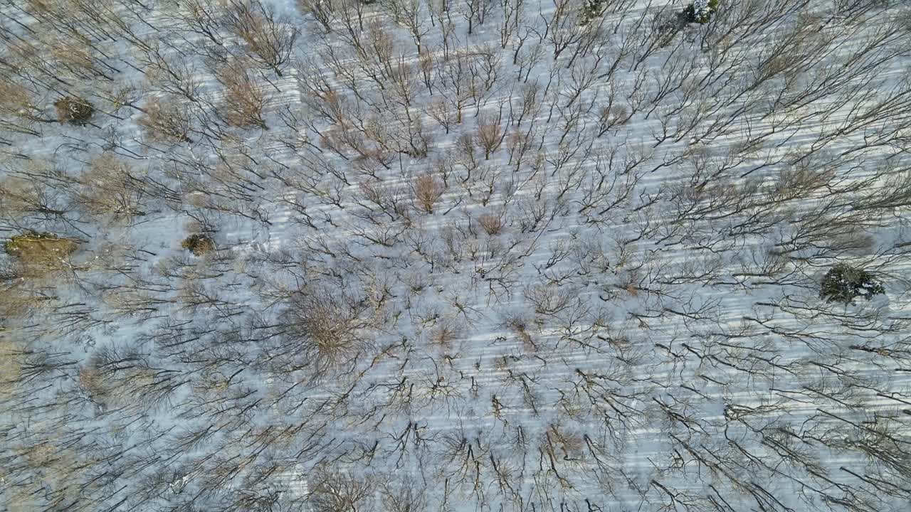 Aerial 4K drone footage of a mountain Ivan&scaron;čica and the snowy forest in the winter time