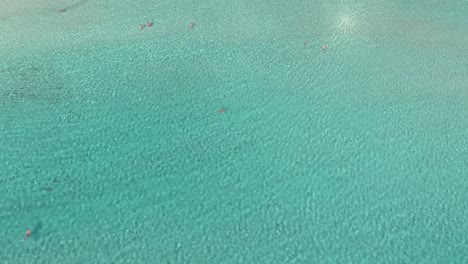 Clear-blue-sea-water-at-nissi-beach---Aerial-View