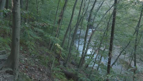 Hoher-Blick-Auf-Den-Wissahickon-Creek,-Philadelphia