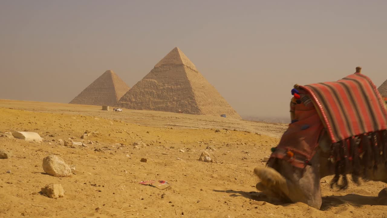 Cammelli e piramidi nel deserto egiziano