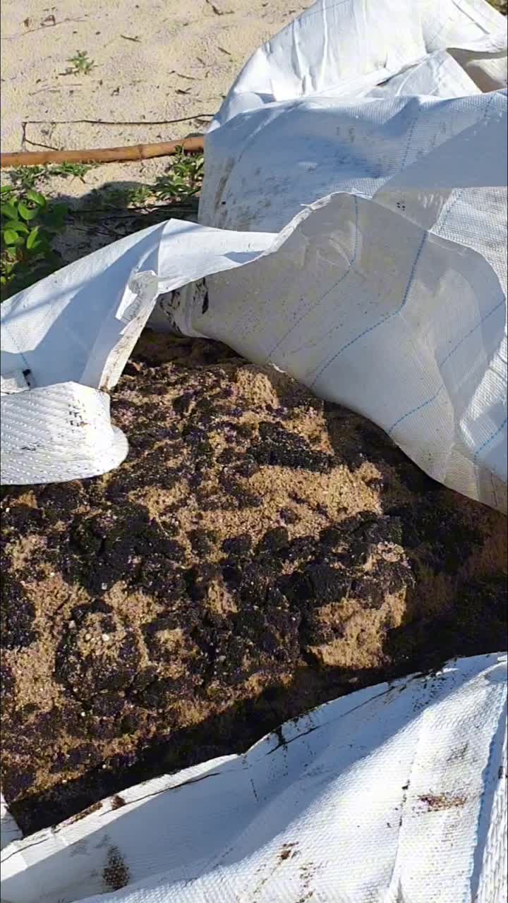 2024年6月14日に発生した原油流出事故後、清掃されたシンガポール南部の島の一つ、ラザラス島のズームアウト映像