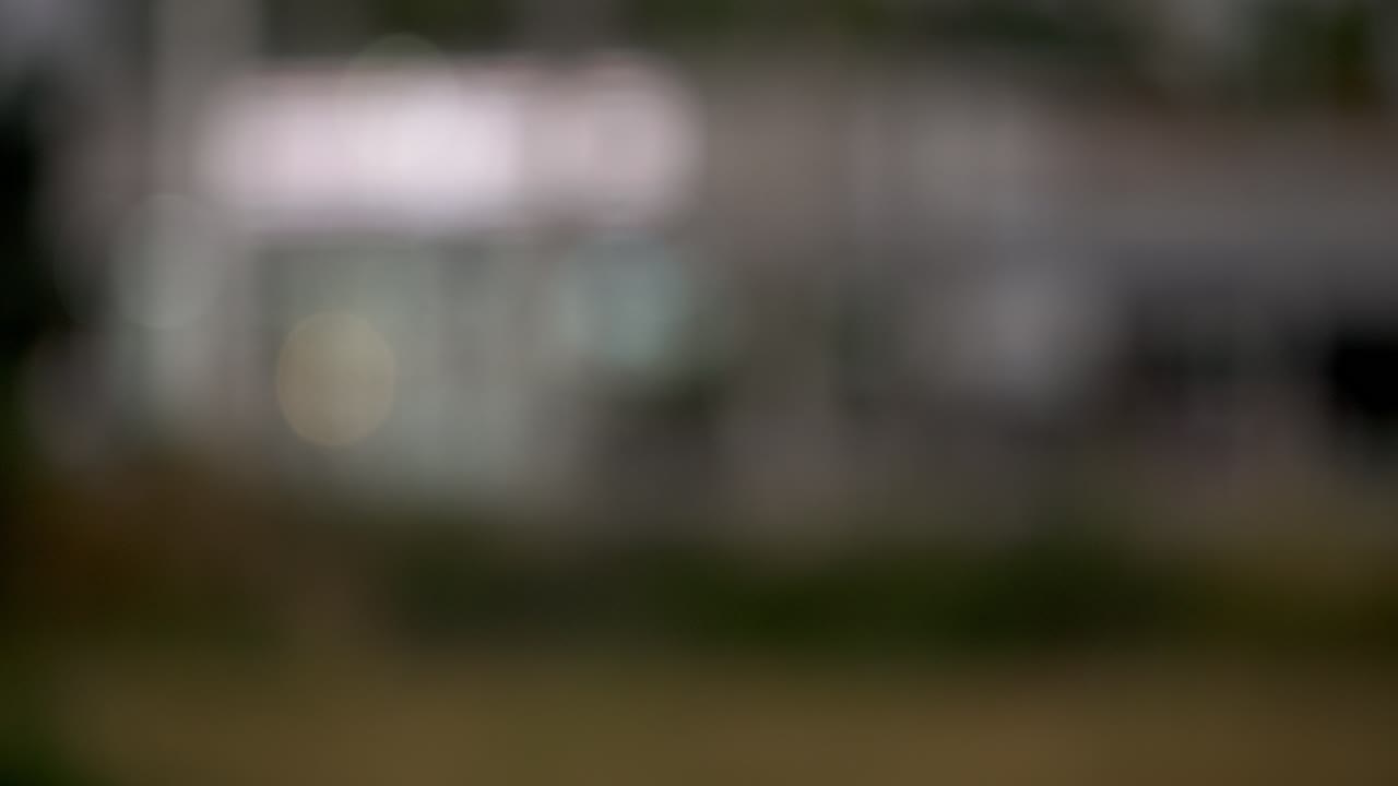 Un'immagine sfocata mostra un fogliame e delle foglie vivaci che creano una serena scena naturalistica