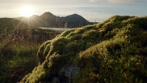the sun sets behind mountains and the sea in the background as golden light highlights a mossy rock in the foreground