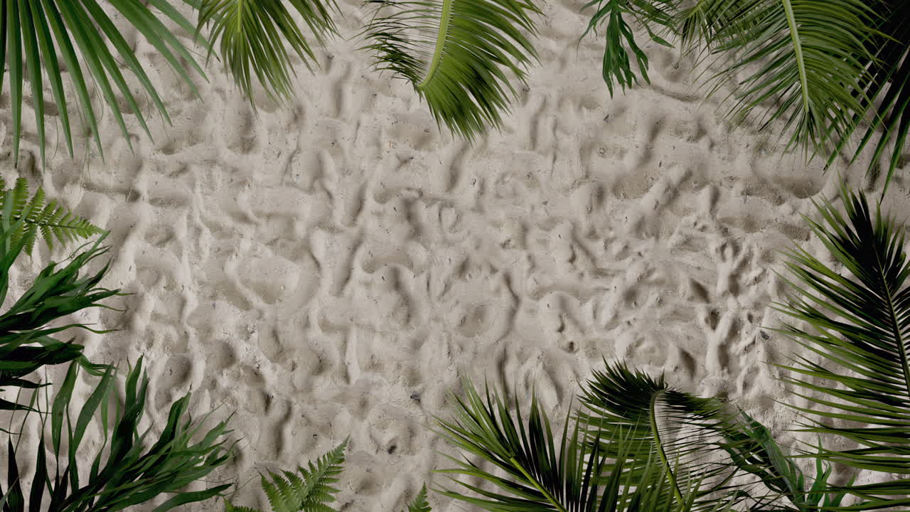 Looping tropical beach sand background with palm leaves frame animation