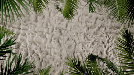 looping tropical beach sand background with palm leaves frame animation