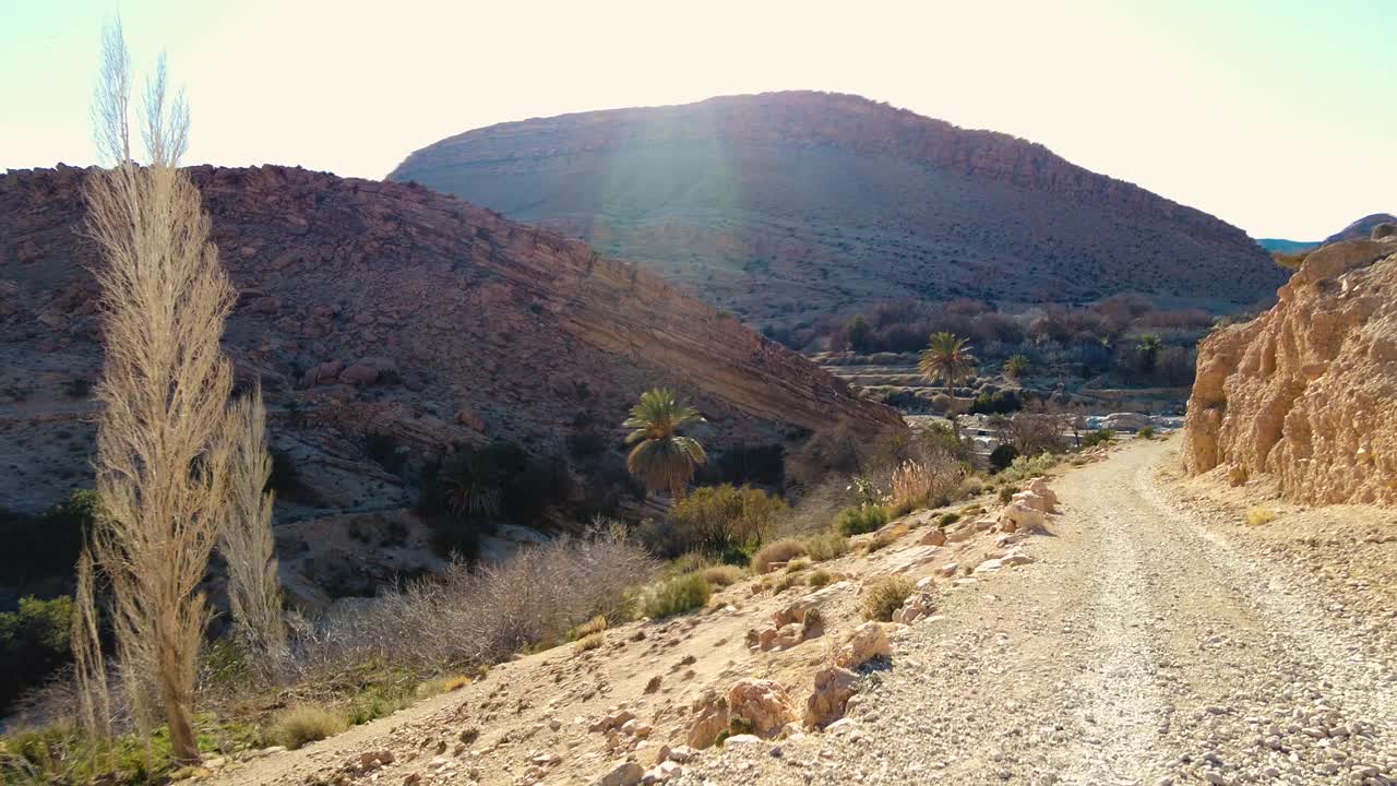 사하라 사막 한가운데에 있는 강 알제리 비스크라