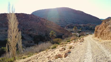 Ein-Fluss-Mitten-In-Der-Sahara,-Algerien,-Biskra