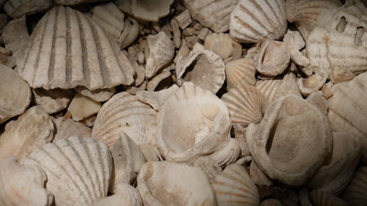 a detail shot of the groung of the Fadiouth island, Senegal