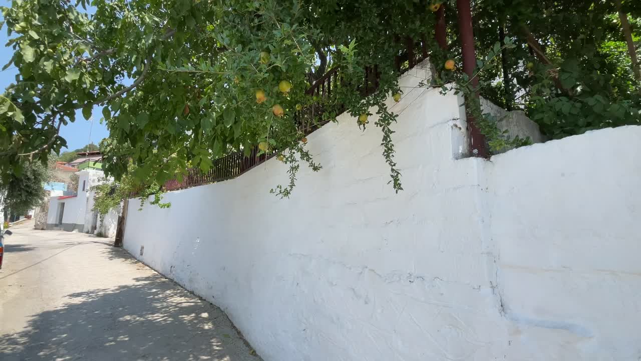 Una tranquila calle soleada con una pared blanca y árboles verdes colgantes, salpicada de frutos amarillos y un ambiente mediterráneo tranquilo