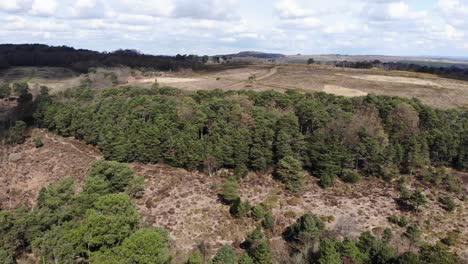 Luftflug-über-Heideland-Bei-Woodbury-Common