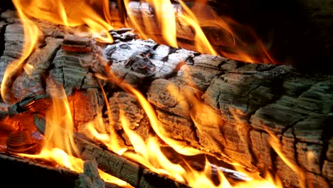 el fondo de un fuego, un tronco se quema