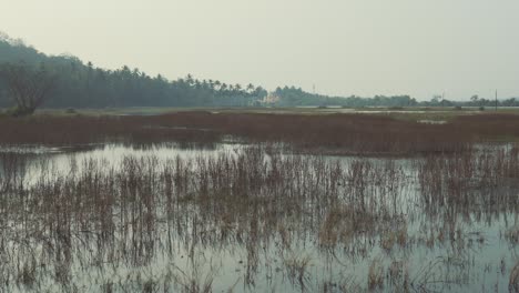 Vista-Cercana-Del-Manantial-De-Agua-Congelada