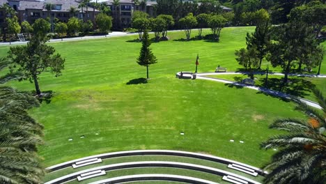 aerial fly into a park to reveal a boy playing with two dogs