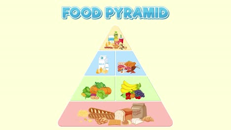 animated sequence of the food pyramid layers