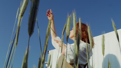 mujer en un campo de trigo