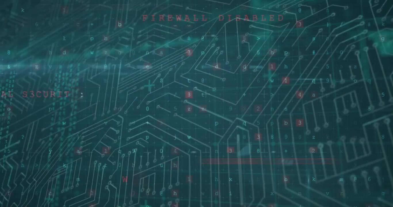 Animation of network of connections over data processing