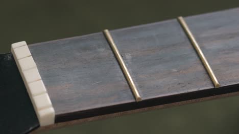 tuerca de guitarra y trastes en el diapasón de una guitarra acústica