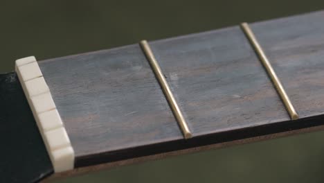 guitar nut and frets on the fingerboard on an acoustic guitar