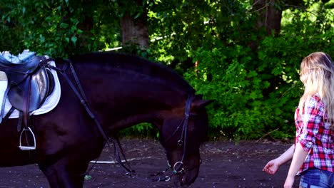 una joven rubia con una camisa a cuadros da un paseo con su caballo. una noche soleada de verano.